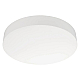 Накладной светодиодный светильник Arlight IM-FLOWER-EMERGENCY-3H-R280-15W Day4000-MIX (WH, 110 deg, 230V) 042555