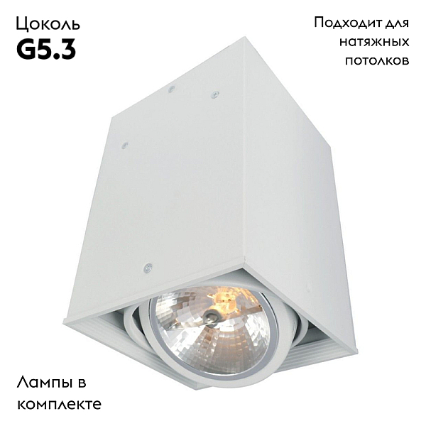 Потолочный светильник Arte Lamp Cardani A5936PL-1WH