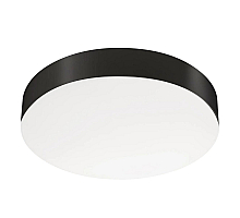 Потолочный светильник Arlight IM-FLOWER-EMERGENCY-3H-R280-15W Day4000-MIX (BK, 110 deg, 230V) (Arlight, IP54 Пластик, 2 года) 041106