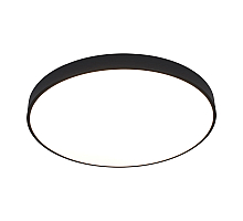 Потолочный светодиодный светильник Arte Lamp Arena A2673PL-1BK