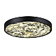 Настенно-потолочный светильник Odeon Light BERGI 5064/40L