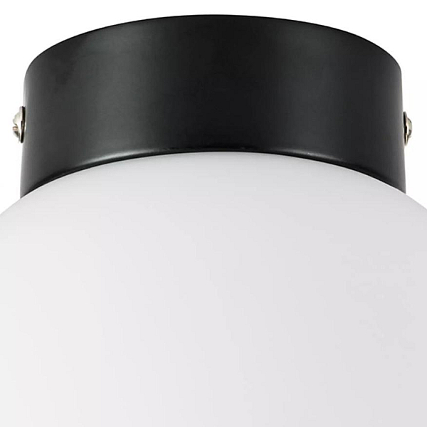 Nastenno potolochnyy svetilnik lightstar globo 812017