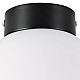 Nastenno potolochnyy svetilnik lightstar globo 812017
