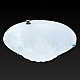 Потолочный светильник Toplight Clare TL9101Y-02TR
