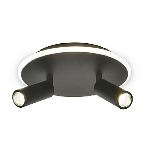 Настенно-потолочный светильник Escada 20046SMA/02LED BK