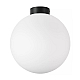 Nastenno potolochnyy svetilnik lightstar globo 812037