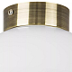 Nastenno potolochnyy svetilnik lightstar globo 812111