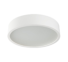 Настенно-потолочный светильник Kanlux Jasmin 370-W/M 23127