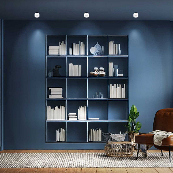 Настенно-потолочный светильник ЭРА OL30 WH Б0056359
