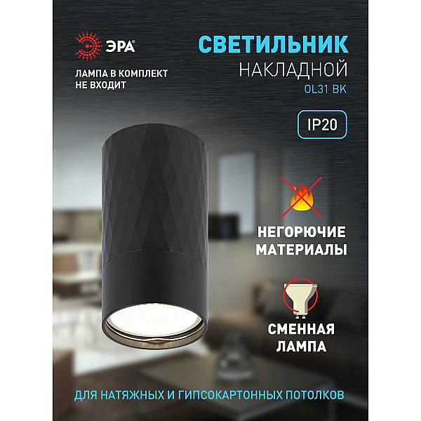 Настенно-потолочный светильник ЭРА OL31 BK Б0056374