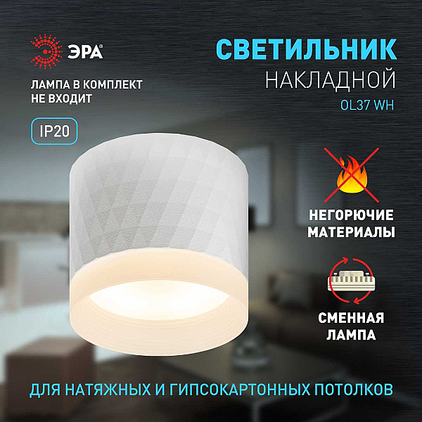 Настенно-потолочный светильник ЭРА OL37 WH Б0056385