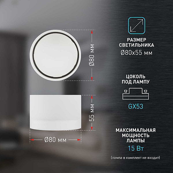 Настенно-потолочный светильник ЭРА OL30 WH Б0056359