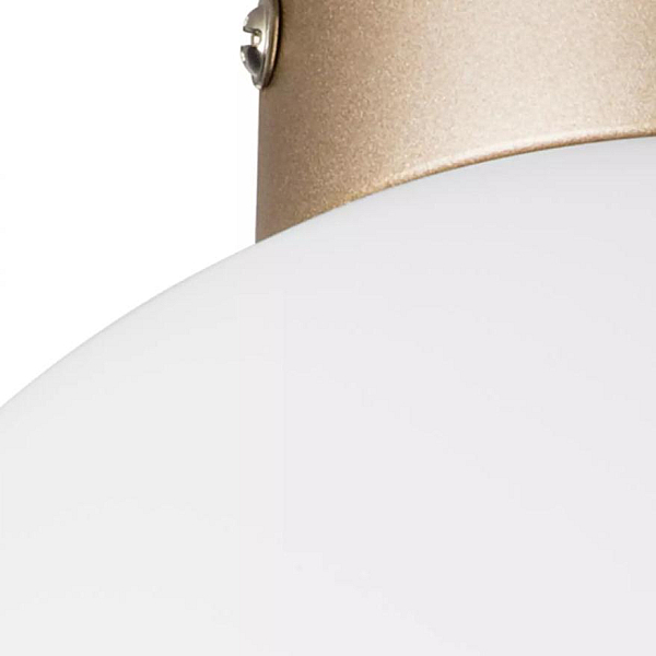Nastenno potolochnyy svetilnik lightstar globo 812023