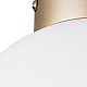 Nastenno potolochnyy svetilnik lightstar globo 812023