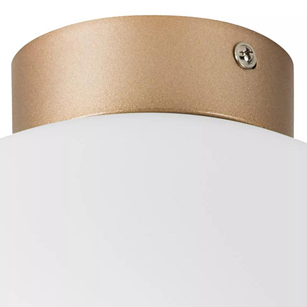 Nastenno potolochnyy svetilnik lightstar globo 812033