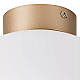 Nastenno potolochnyy svetilnik lightstar globo 812033