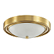Настенно-потолочный светильник Lumion Vintage Nina 5259/2C