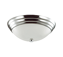 Настенно-потолочный светильник Lumion Vintage 5261/2C
