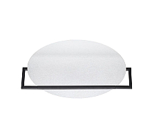 Настенно-потолочный светильник Odeon Light Lunar 7015/20WL