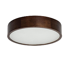 Настенно-потолочный светильник Kanlux Jasmin 370-WE 23121