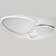 Настенно-потолочный светильник Escada Index 10289/3LED