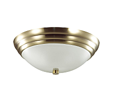 Настенно-потолочный светильник Lumion Vintage 5262/2C