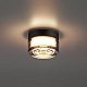 Настенно-потолочный светильник Odeon Light Ronda Hightech 7157/6CL