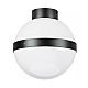 Nastenno potolochnyy svetilnik lightstar globo 812117