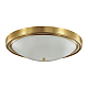 Настенно-потолочный светильник Lumion Vintage Nina 5259/4C