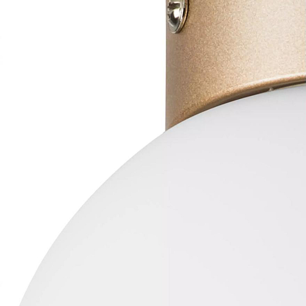 Nastenno potolochnyy svetilnik lightstar globo 812013