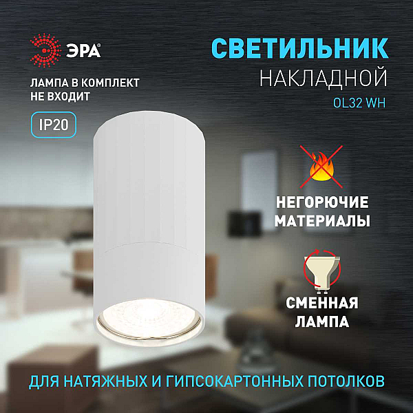 Настенно-потолочный светильник ЭРА OL32 WH Б0056377