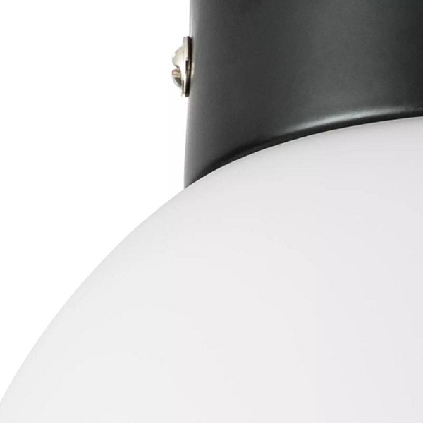 Nastenno potolochnyy svetilnik lightstar globo 812017