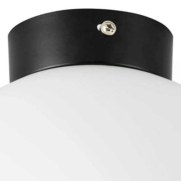 Nastenno potolochnyy svetilnik lightstar globo 812027