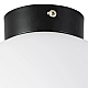 Nastenno potolochnyy svetilnik lightstar globo 812027