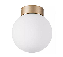 Nastenno potolochnyy svetilnik lightstar globo 812013