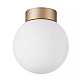 Nastenno potolochnyy svetilnik lightstar globo 812013