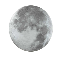 Настенно-потолочный светильник Sonex Pale Moon 3084/CLN