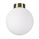 Nastenno potolochnyy svetilnik lightstar globo 812021