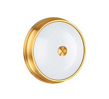 Потолочный светильник Odeon Light 4824/3C
