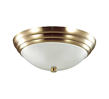 Настенно-потолочный светильник Lumion Vintage 5262/2C