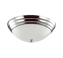 Настенно-потолочный светильник Lumion Vintage 5261/2C