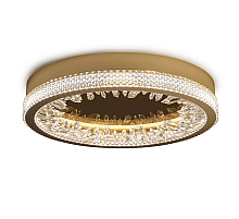 Настенно-потолочный светильник Delight Collection XD-50 gold