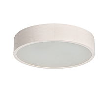 Настенно-потолочный светильник Kanlux Jasmin 370-W 23124