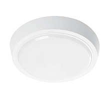 Nastenno potolochnyy svetodiodnyy svetilnik feron al3020 41771