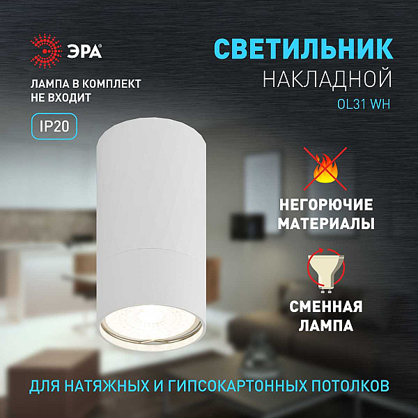 Настенно-потолочный светильник ЭРА OL31 WH Б0056375