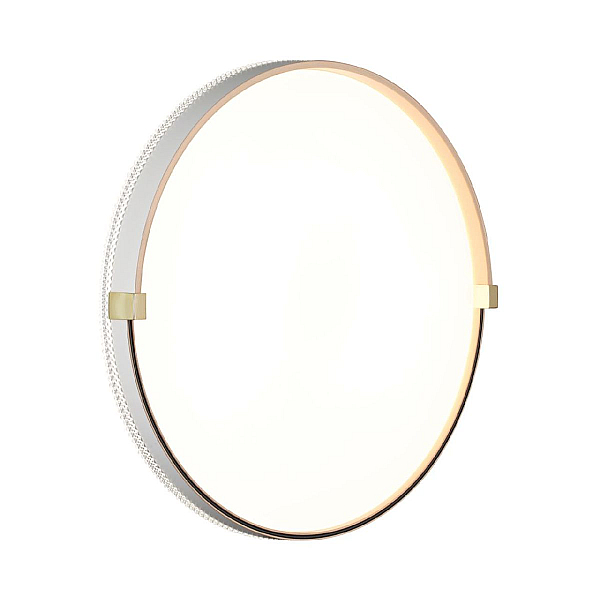 Настенно-потолочный светодиодный светильник Sonex Pale Olidi White 7646/DL