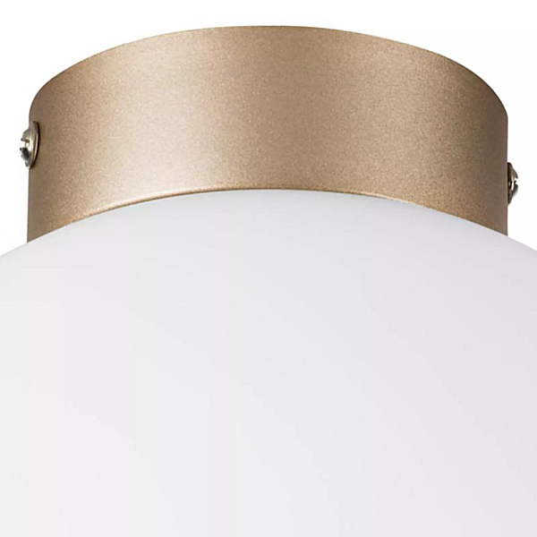 Nastenno potolochnyy svetilnik lightstar globo 812023