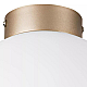 Nastenno potolochnyy svetilnik lightstar globo 812023