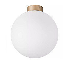 Nastenno potolochnyy svetilnik lightstar globo 812033