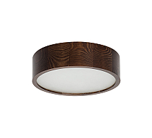 Настенно-потолочный светильник Kanlux Jasmin 270-WE 23120